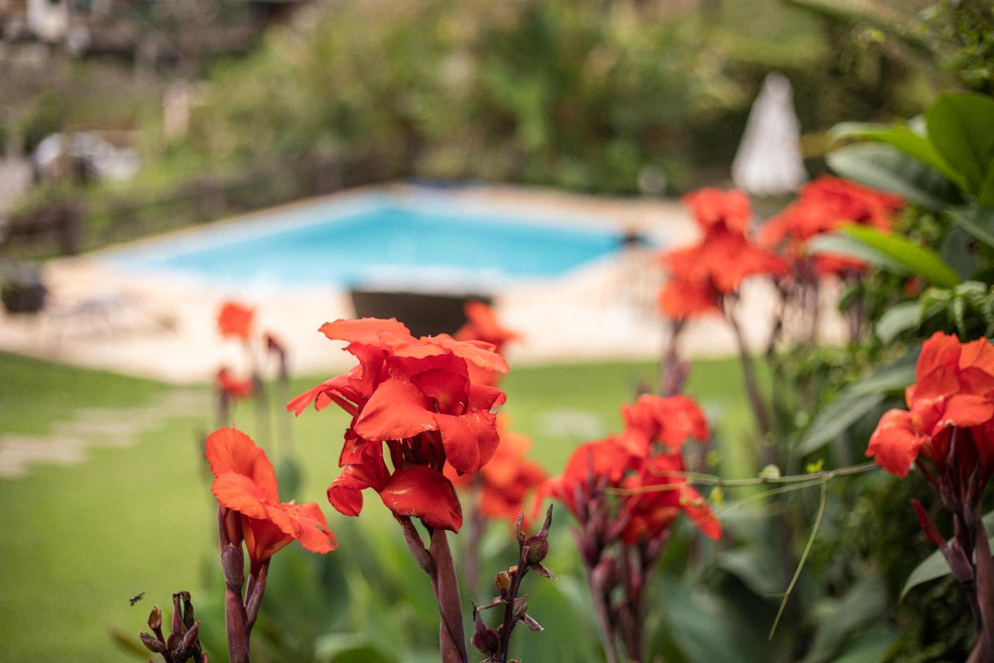 Hibiscus Beach Armacao dos Buzios Dış mekan fotoğraf